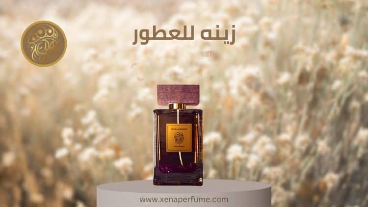 الشخصية الهادئة