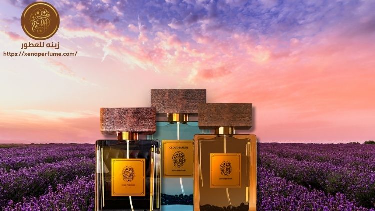 كيف اعرف ذوقي في العطور؟!
